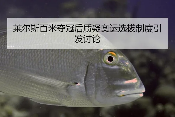 莱尔斯百米夺冠后质疑奥运选拔制度引发讨论