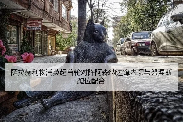 sa-la-he-li-wu-pu-ying-chao-shou-lun-dui-zhen-a-sen-na-bian-feng-nei-qie-yu-nu-nie-si-pao-wei-pei-he-3-310.jpg
